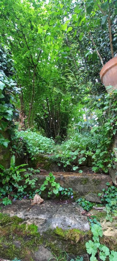 Villa Marguerite Terrasse & Garage Belvès Buitenkant foto