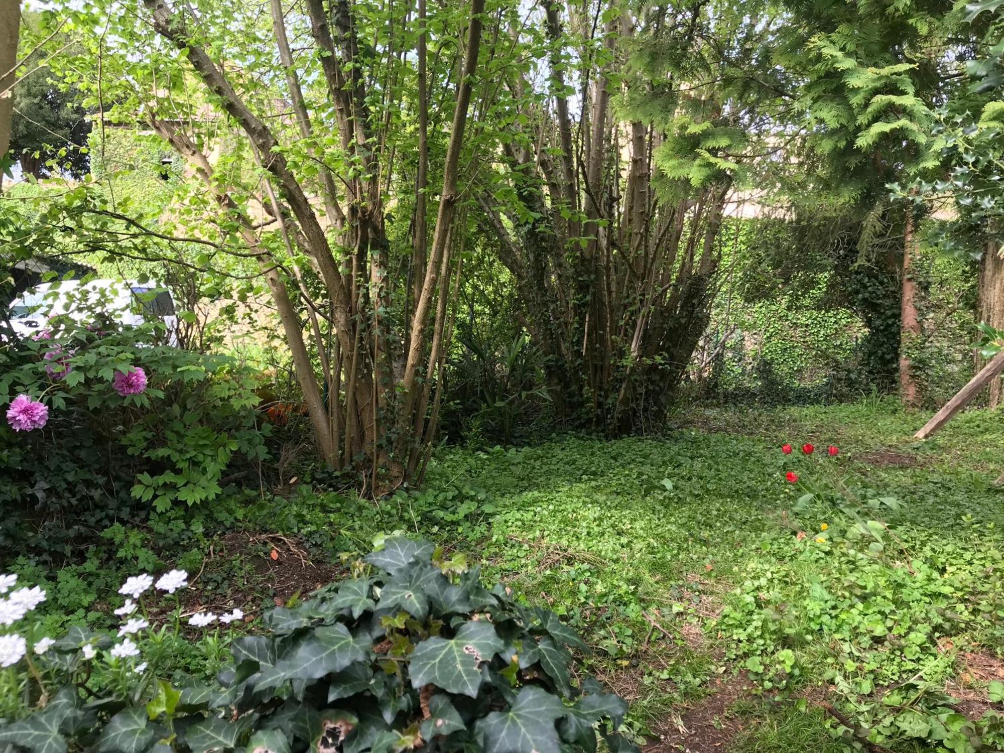 Villa Marguerite Terrasse & Garage Belvès Buitenkant foto
